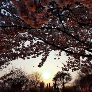 影音先锋中文字幕资源
